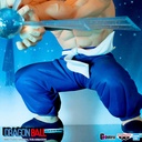 (PO) Dragonball GxMateria - Kame-Sennin Image_11
