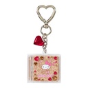 Sanrio Characters Secret CD Type Acrylic Key Holder A (Our Heisei Pop Designs) [BOX] Image_3