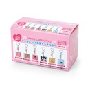 Sanrio Characters Secret CD Type Acrylic Key Holder A (Our Heisei Pop Designs) [BOX] Image_10