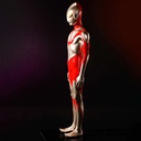 (PO) Mega Soft Vinyl Shin Ultraman - Ultraman Template Ver. Image_6