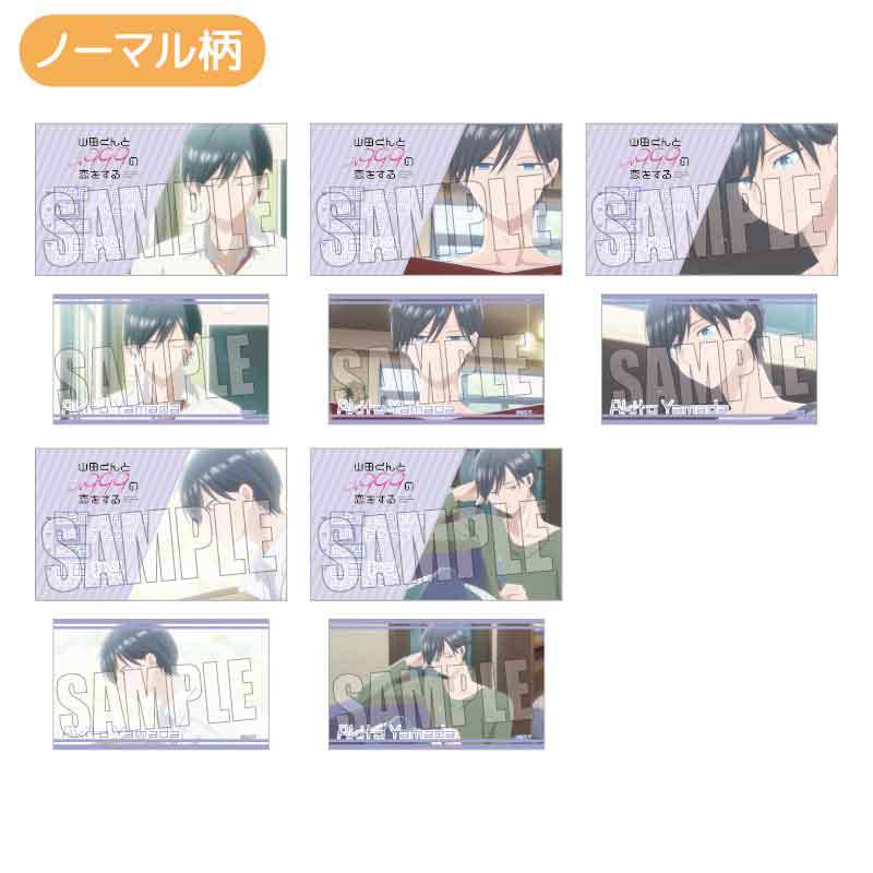 (PO) Trading Business Card My Love Story with Yamada-kun at Lv999 [BOX] Image_3