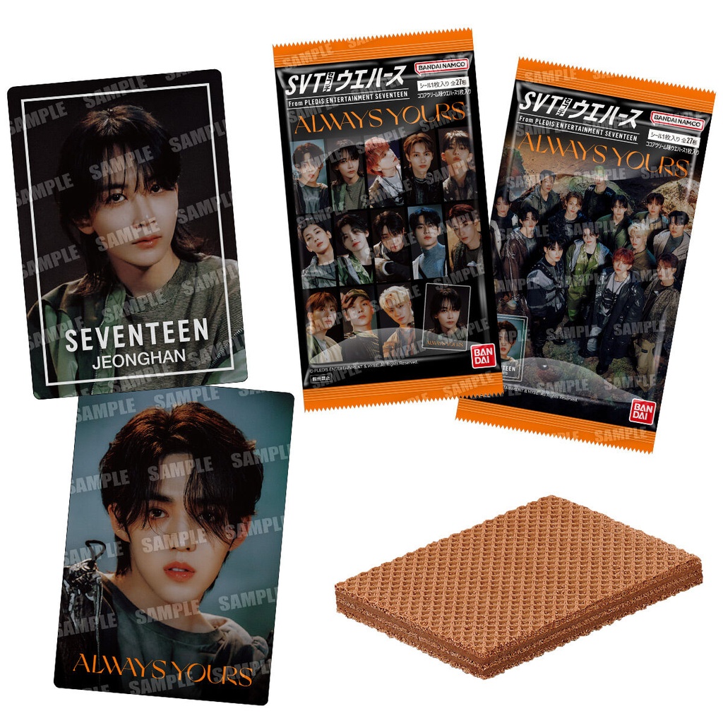 (PO) SVT Wafer Card From PLEDIS ENTERTAINMENT SEVENTEEN [BOX] Image_1
