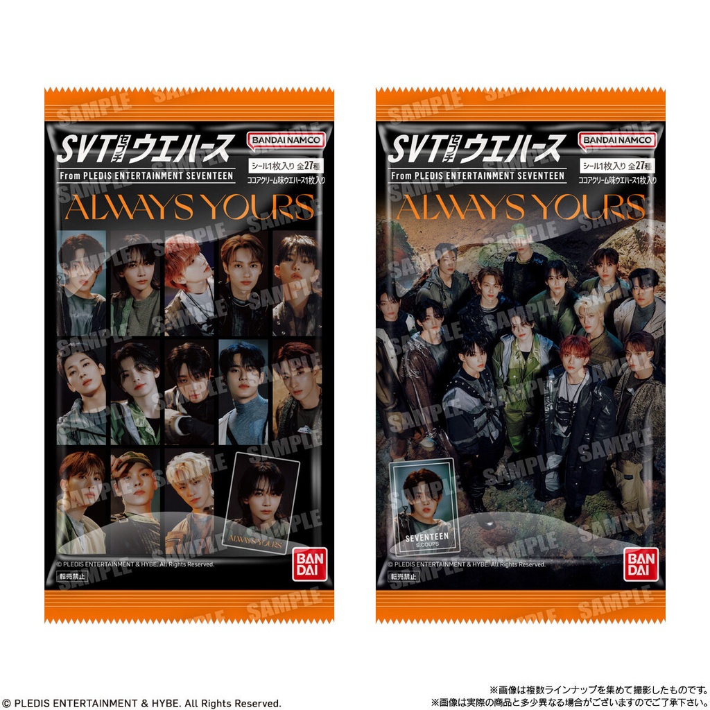 (PO) SVT Wafer Card From PLEDIS ENTERTAINMENT SEVENTEEN [BOX] Image_6