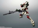 (PO) Robot Spirits <Side MS> Gundam SEED GAT-X103 Buster Gundam Ver. A.N.I.M.E. Image_5