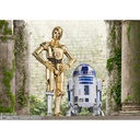 (PO) S.H.Figuarts Star Wars: Episode IV A New Hope - R2-D2 -Classic Ver.- (STAR WARS: A New Hope) Image_13