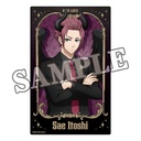 (PO) Blue Lock Clear Card Set Seven Deadly Sinners Image_8
