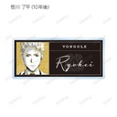 (PO) Reborn! Trading Ani-Art BLACK LABEL Acrylic Name Plate Ver. A [BOX] Image_9