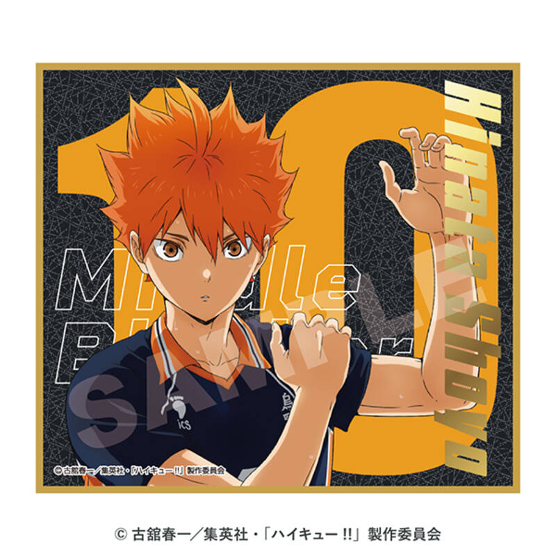 (PO) Haikyu!! Visual Shikishi Collection 8 [BOX] Image_2