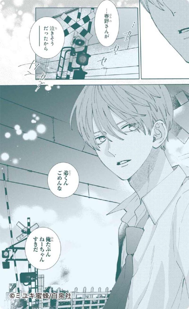 (PO) Spring Storm and Monster Memorial Clear Sheet Collection [BOX] Image_11