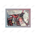 (PO) Cytus II V. A6 Acrylic Panel Image_5