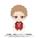 (PO) Haikyu!! Chibi Plush Yaku Morisuke Image_1