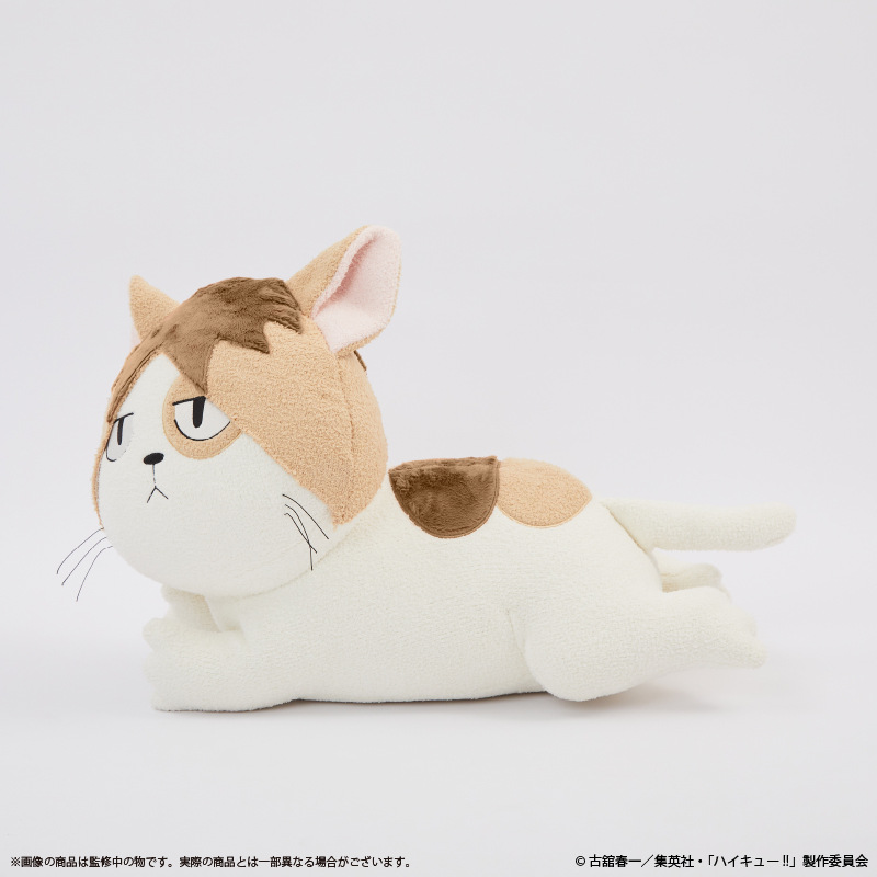 (PO) Haikyu!! Cushion Kenma Cat Image_2