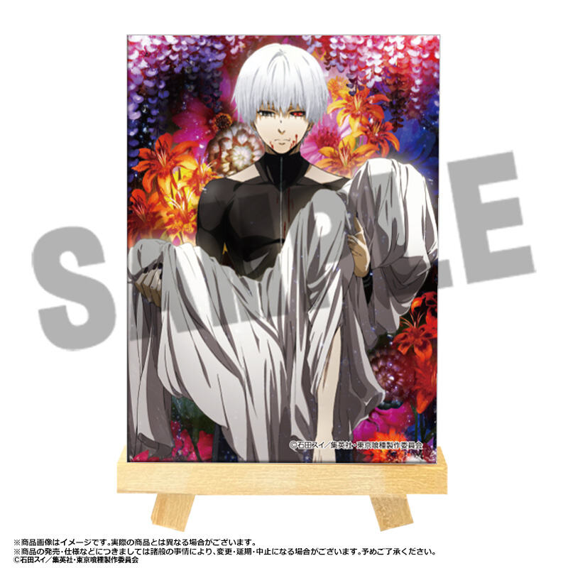 (PO) Tokyo Ghoul Mini Canvas Board [BOX] Image_2