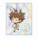 (PO) Reborn! Acrylic Stand Sawada Tsunayoshi Easter Ver.