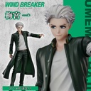 Wind Breaker - Umemiya Hajime