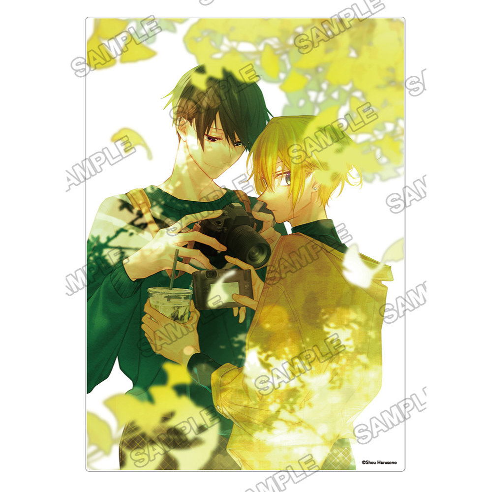 (PO) Hirano and Kagiura Shou Harusono Illustration Acrylic Panel B