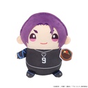 (PO) Blue Lock Big Mamemate (Plush) Mikage Reo