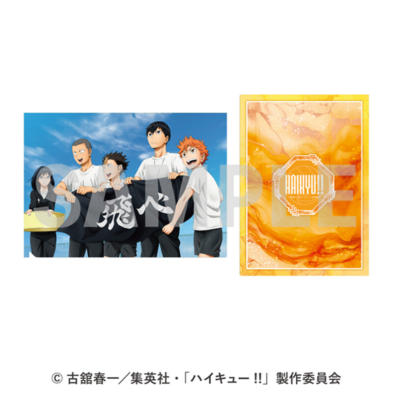 (PO) Haikyu!! Clear File 1 Karasuno High School 1