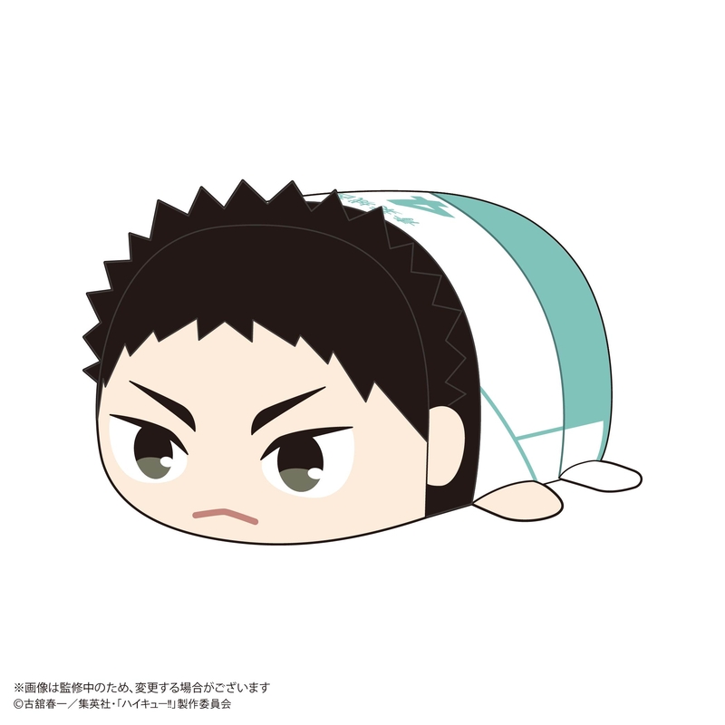 (PO) HQ-75 Haikyu!! Potekoro Mascot Big E Iwaizumi Hajime