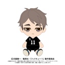 (PO) Haikyu!! Chibi Plush Miya Osamu