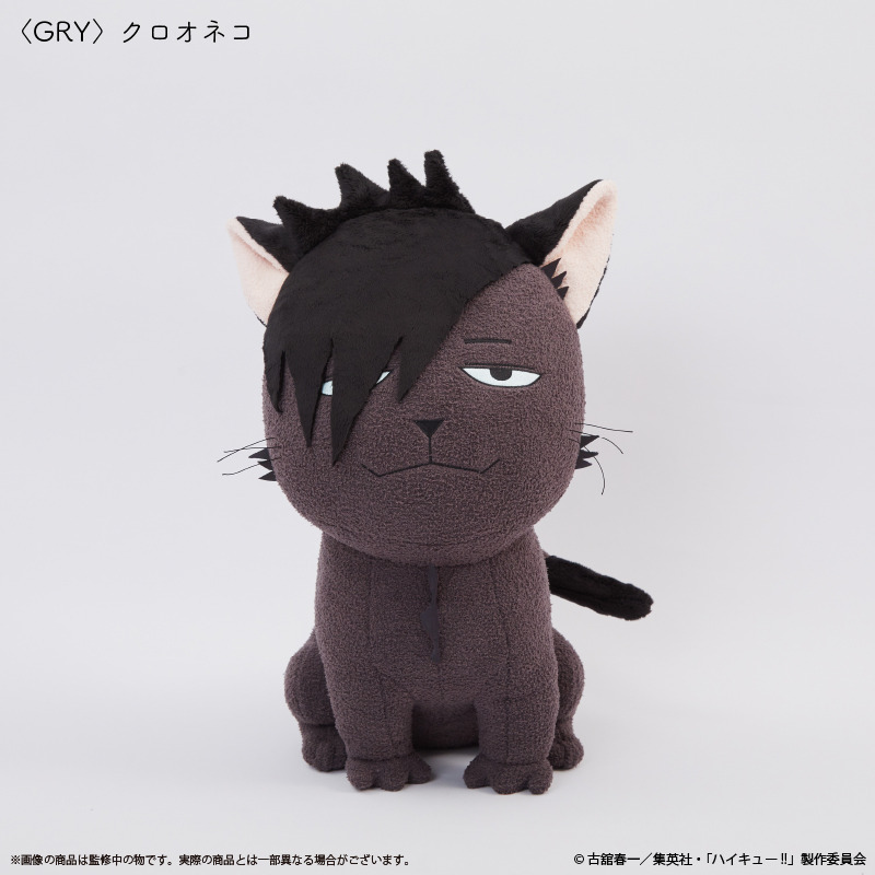 (PO) Haikyu!! Cushion Kuroo Cat