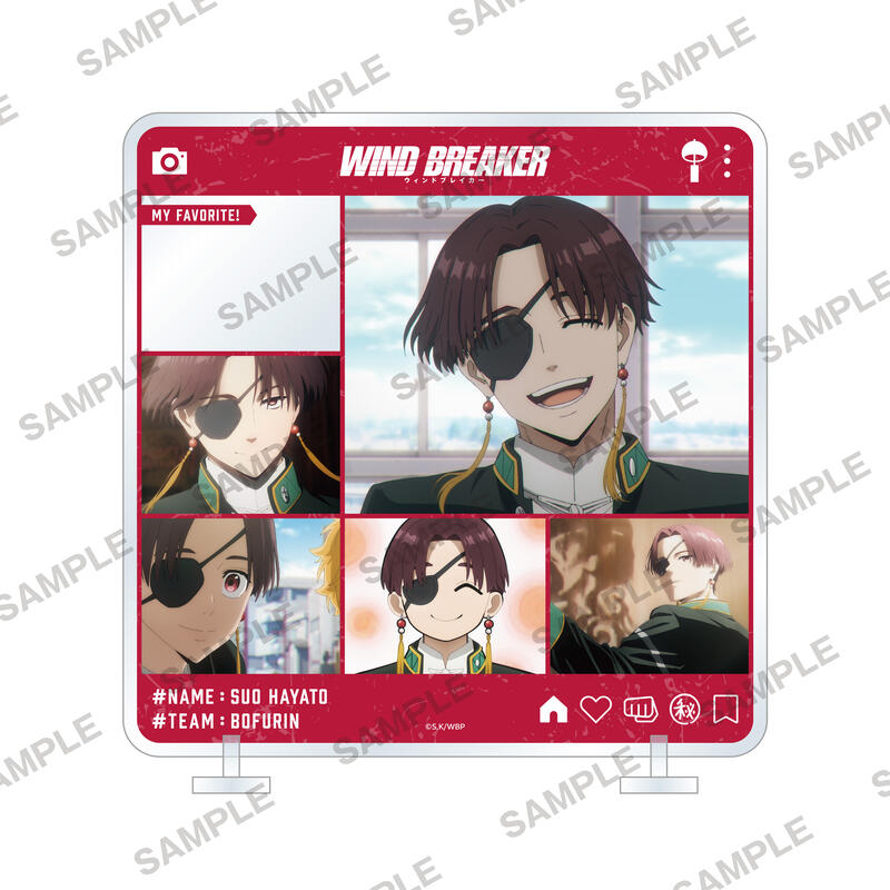 (PO) Wind Breaker Character in Stand Suo Hayato