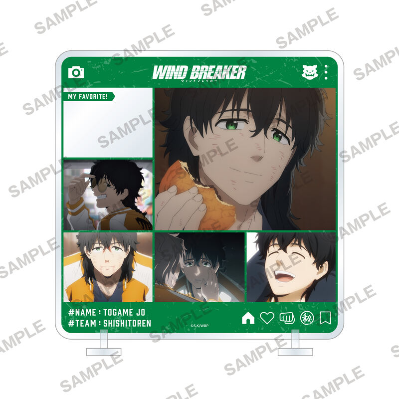 (PO) Wind Breaker Character in Stand Togame Jo