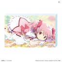 (PO) Puella Magi Madoka Magica Acrylic Block 01