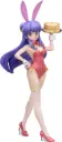 (PO) Ranma 1/2 - Shampoo Bunny Ver.