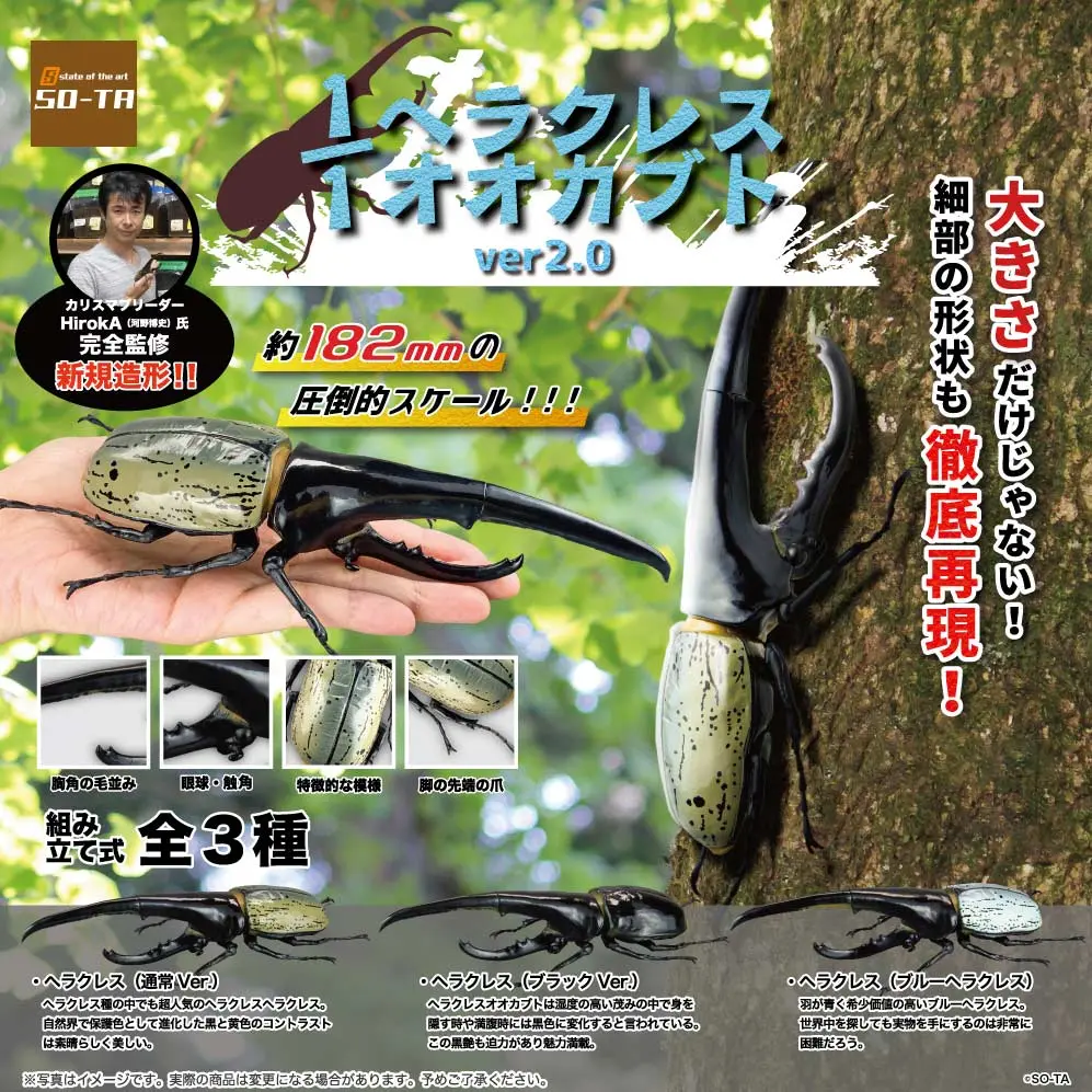 (SA) 1/1 Scale Hercules Beetle ver 2.0 [LOOSE]