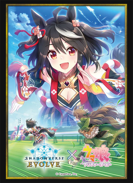 (SA) Shadowverse Evolve Official Sleeve Vol.40 Shadowverse Evolve [Kitasan Black]