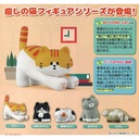 (PO) My Home Cat Image_1