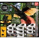 The Diversity of Life on Earth - Stag Beetle Image_1