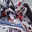 Metal Build Gundam Seed Destiny - MBF-02+EW454F Strike Rouge + Ootori Striker (P Bandai) Image_1