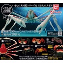 The Diversity of Life on Earth - Crab 2 Image_1