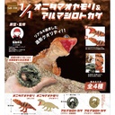 (PO) 1/1 Scale Centralian Rough Knob-Tailed Gecko & Armadillo Girdled Lizard Image_1
