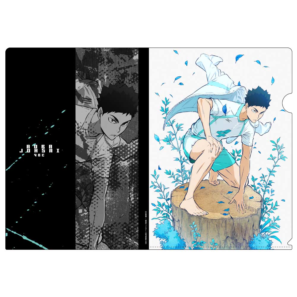 (PO) Haikyu! To the Top Clear File ver.2.0 Hajime Iwaizumi Image_1