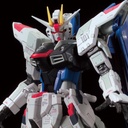 RG 1/144 The Gundam Base Limited ZGMF-X10A Freedom Gundam Ver.GCP (P Bandai) Image_1