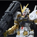 RG Gundam SEED Astray - Gundam Astray Gold Frame (P Bandai) Image_1