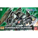 HG Gundam SEED - R09 Forbidden Gundam Image_1