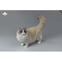 JxK 1/6 Ragdoll 2.0 JXK197-A Image_1