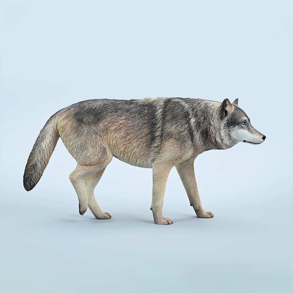 JxK 1/6 Common Gray Wolf JXK223-A1 Image_1