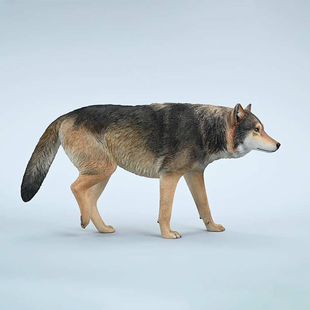 JxK 1/6 Common Gray Wolf JXK223-A2 Image_1