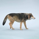 JxK 1/6 Common Gray Wolf JXK223-A2 Image_1