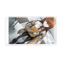 (PO) STEINS;GATE Acrylic Block Makise Kurisu Image_1
