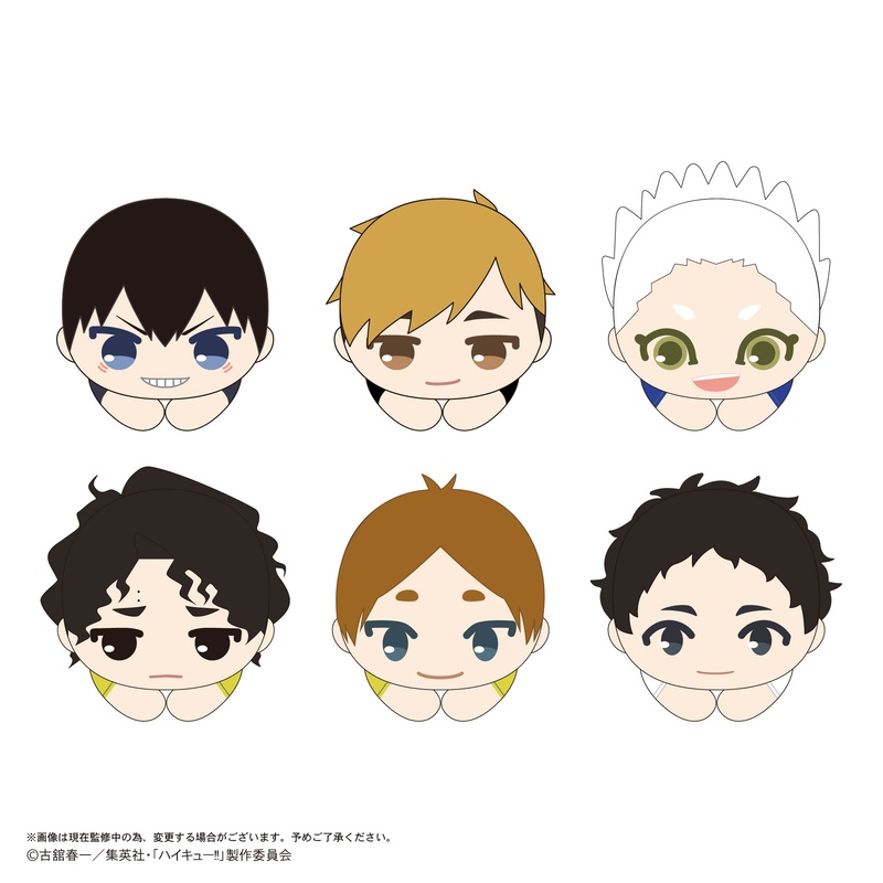 (PO) HQ-77 Haikyu!! Hug x Character Collection 10 [BOX] Image_1