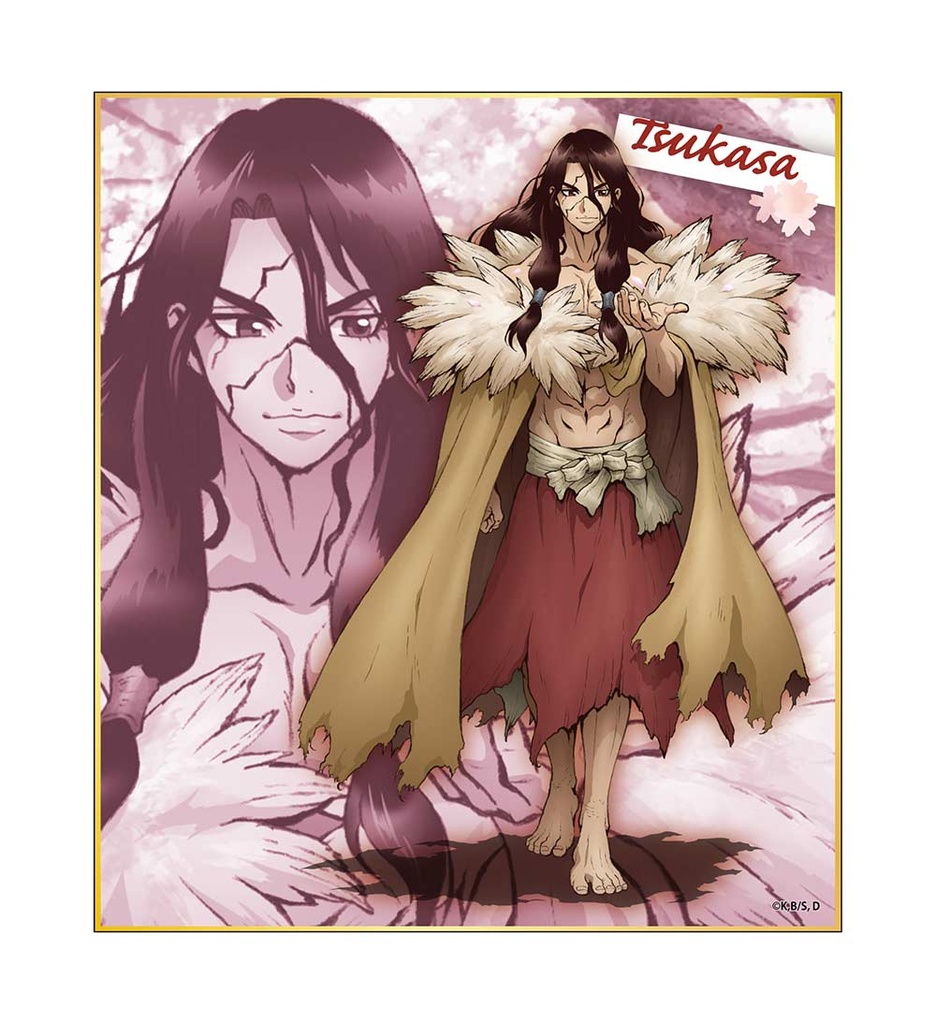 (PO) Dr. Stone Trading Mini Shikishi [BOX] Image_7
