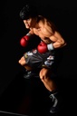 (PO) Hajime no Ippo - Takamura Mamoru Fighting Pose Ver. Damage Image_9