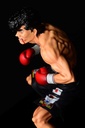 (PO) Hajime no Ippo - Takamura Mamoru Fighting Pose Ver. Damage Image_13