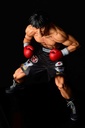 (PO) Hajime no Ippo - Takamura Mamoru Fighting Pose Ver. Damage EX Image_4